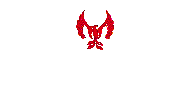 Phoenix Boiler Solutions (Pty) Ltd